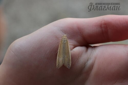 Берег весёлых Робинзонов 2017